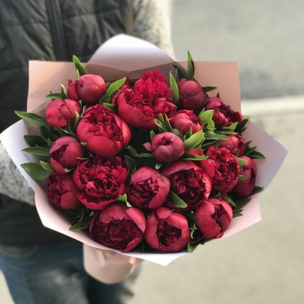 Пион Красный местный Пион Красный местный