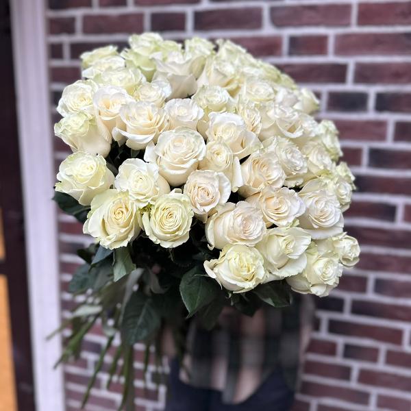 Букет из 51 голландской белой розы