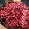 Букет из хризантем "Цветочный гранд"